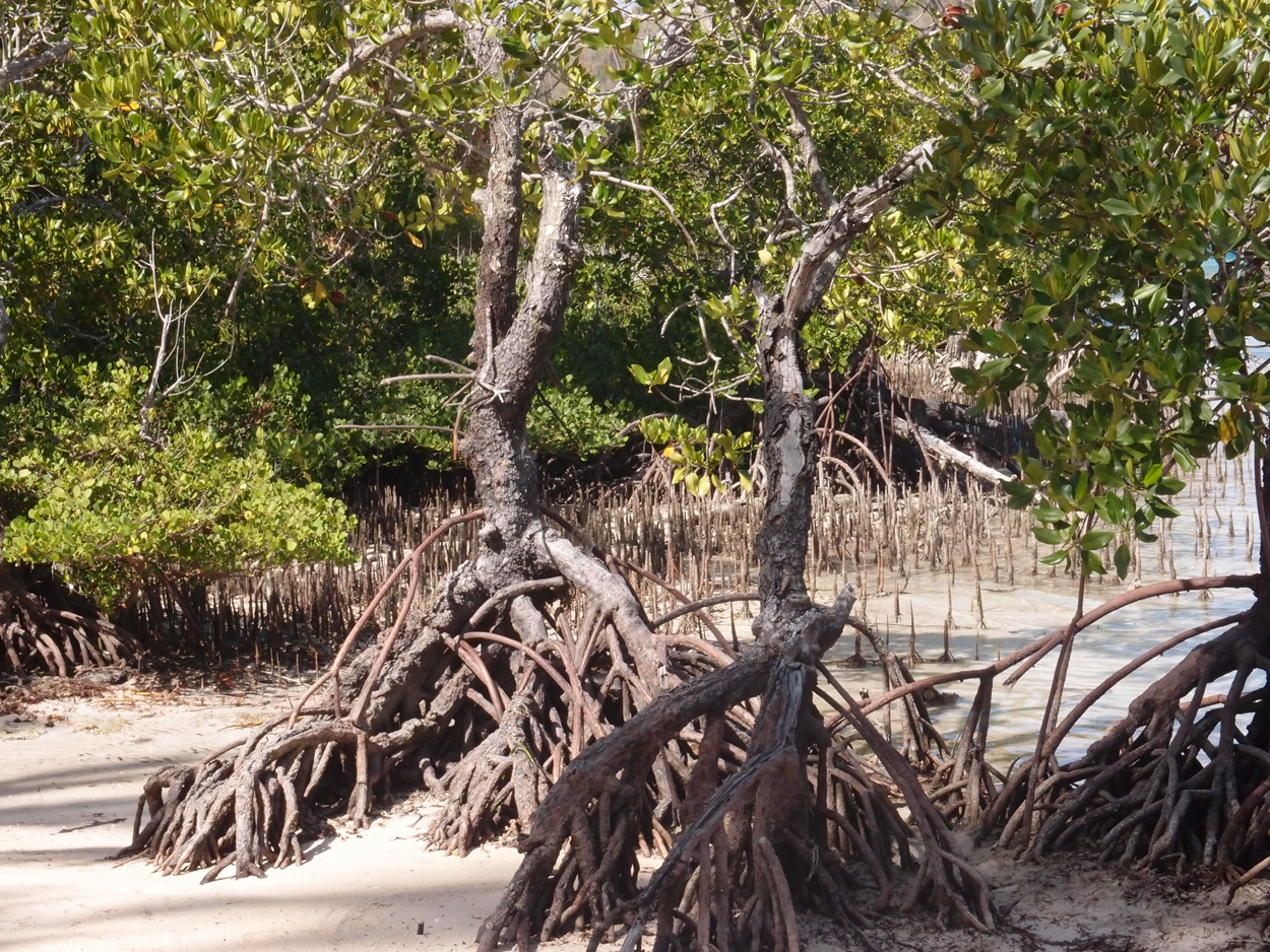 2015-10-07 Habitat des Lorbi (Foto)